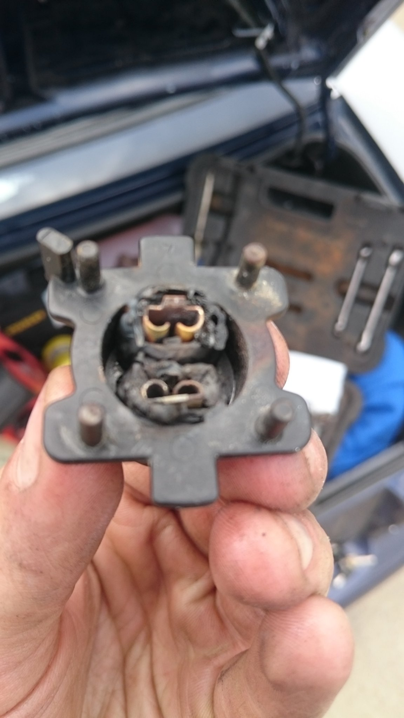 Little bit melty, I think it got wet.